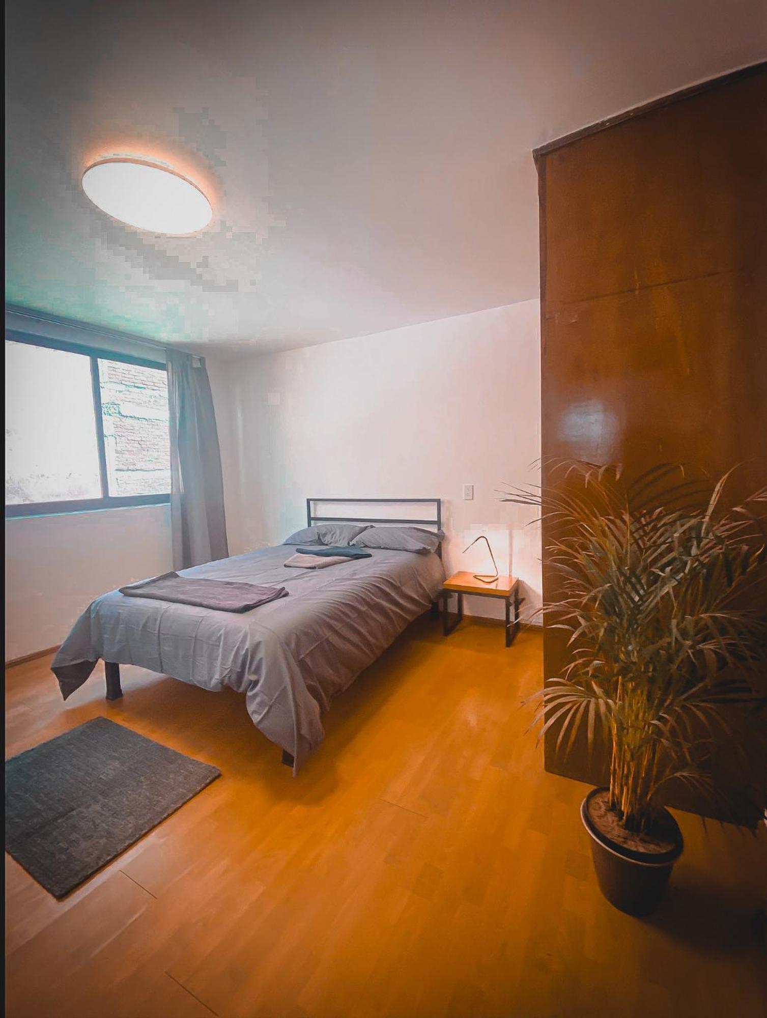 Central & Cozy Studio With Rooftop View 1 مدينة مكسيكو المظهر الخارجي الصورة